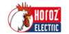 Horoz Electric Logo