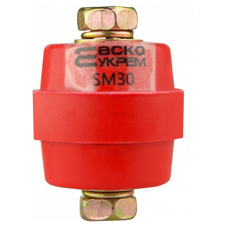 Ізолятор-тримач силової шини SM30 (з болтом М8), АСКО-УКРЕМ (A0150100002) фото