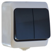 Выключатель двухклавишный B310-2-IP44N серия IP44N, АСКО-УКРЕМ мини-фото