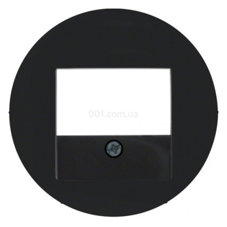 Накладка для розеток для гучномовців та USB-розеток R.х чорна, Berker (10382045) фото