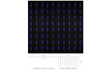 Гірлянда світлодіодна внутрішня WATERFALL С 320 LED 3×3м синій/прозорий IP20, Delux зображення 2