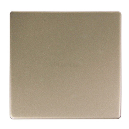 Кнопка одинарная "никель" e.lux.11611L.pn.nickel, E.NEXT (ins0040003) фото