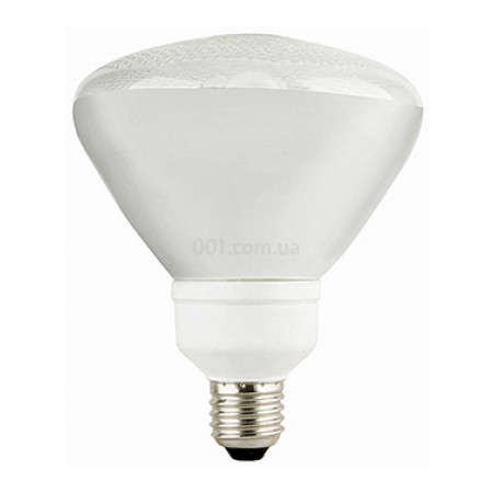 Енергозберігаюча лампа e.save.PAR38.E27.20.4200, 20 Вт 4200K E27, E.NEXT (l0360004) фото
