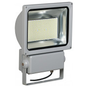 Прожектор СДО 04-200 (200Вт) светодиодный (LED) SMD 6500K IP65 серый, IEK мини-фото