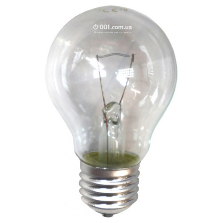 Лампа накаливания местного освещения (МО) 60 Вт 24В E27 фото