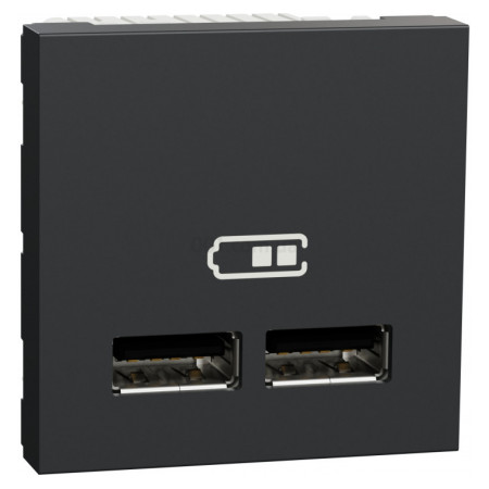 Розетка USB 2.0 подвійна 2.1А тип A+A (2 модулі) Unica New антрацит, Schneider Electric (NU341854) фото