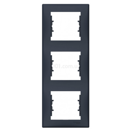 Рамка 3-постовая вертикальная Sedna графит, Schneider Electric (SDN5801370) фото