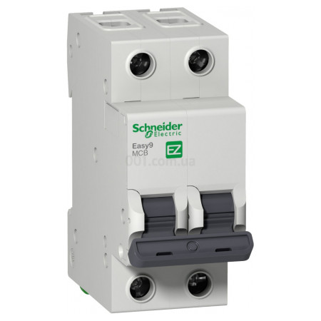 Автоматичний вимикач Easy9 2P 6А тип В, Schneider Electric (EZ9F14206) фото