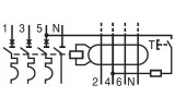Автоматичний вимикач диференційного струму AMPARO 6кА/30мА 3P+N 16A х-ка C Тип A, Schrack Technik зображення 11 (схема)