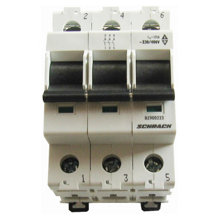 Головний вимикач навантаження 3P 125A, Schrack Technik (BZ900223--) фото